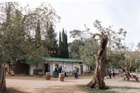 Tienda de productos locales en Sa Cabreta, Mallorca