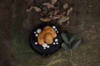 Menú degustación en la quesería artesanal Sa Cabreta Menú degustación en la quesería artesanal Sa Cabreta